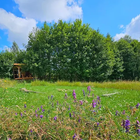 Ałabajka camping - własny namiot lub wóz * Wleń
